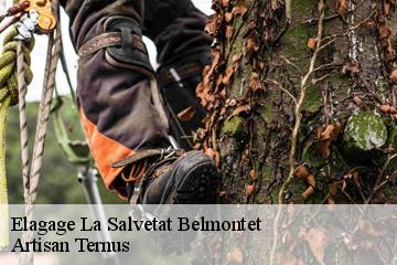 Elagage  la-salvetat-belmontet-82230 Artisan Ternus