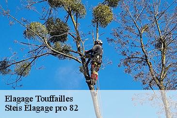 Elagage touffailles-82190 Steis Elagage pro 82