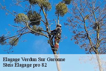 Elagage verdun-sur-garonne-82600 Steis Elagage pro 82