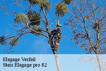 Elagage verfeil-82330 Steis Elagage pro 82