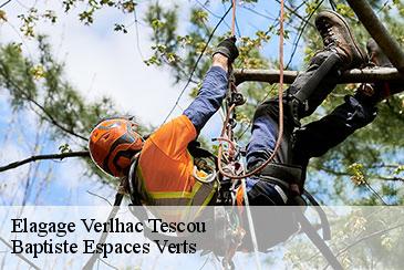 Elagage verlhac-tescou-82230 Baptiste Espaces Verts