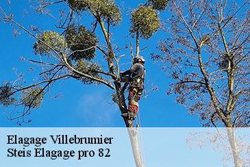 Elagage  villebrumier-82370 Steis Elagage pro 82