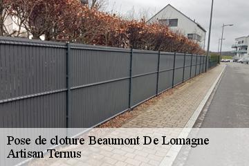 Pose de cloture  beaumont-de-lomagne-82500 Artisan Ternus