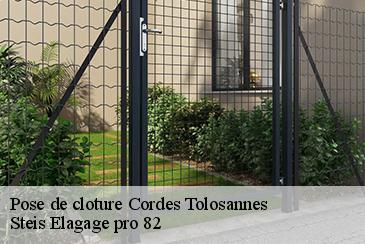 Pose de cloture cordes-tolosannes-82700 Steis Elagage pro 82