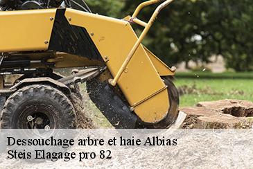 Dessouchage arbre et haie  albias-82350 Artisan Ternus