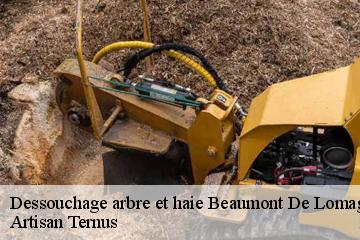 Dessouchage arbre et haie  beaumont-de-lomagne-82500 Artisan Ternus