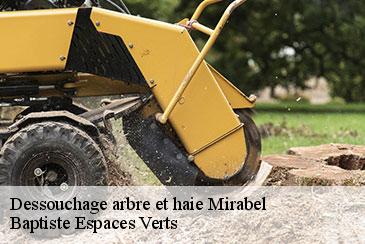 Dessouchage arbre et haie  mirabel-82440 Baptiste Espaces Verts 