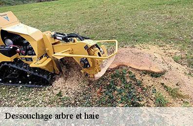 Dessouchage arbre et haie
