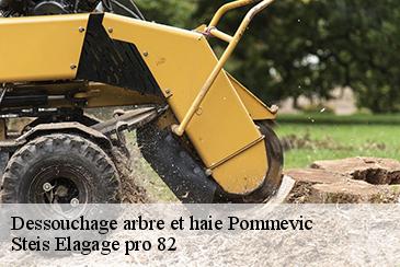Dessouchage arbre et haie pommevic-82400 Steis Elagage pro 82