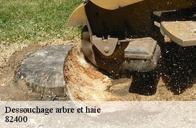 Dessouchage arbre et haie 82400