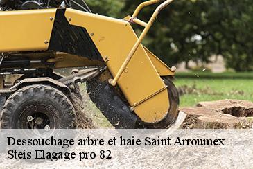 Dessouchage arbre et haie saint-arroumex-82210 Steis Elagage pro 82