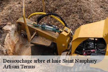 Dessouchage arbre et haie  saint-nauphary-82370 Artisan Ternus