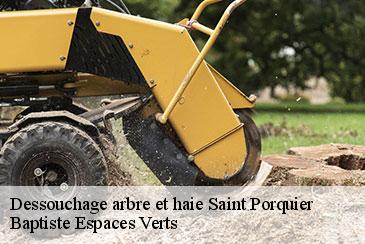 Dessouchage arbre et haie saint-porquier-82700 Baptiste Espaces Verts