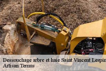Dessouchage arbre et haie  saint-vincent-lespinasse-82400 Artisan Ternus