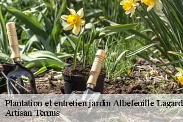 Plantation et entretien jardin  albefeuille-lagarde-82290 Artisan Ternus
