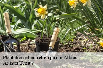 Plantation et entretien jardin  albias-82350 Artisan Ternus
