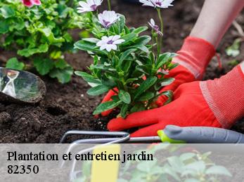 Plantation et entretien jardin  82350