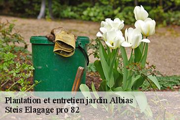 Plantation et entretien jardin albias-82350 Steis Elagage pro 82