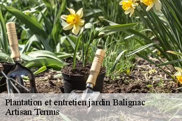 Plantation et entretien jardin  balignac-82120 Artisan Ternus