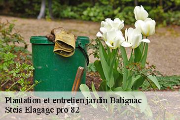 Plantation et entretien jardin balignac-82120 Steis Elagage pro 82