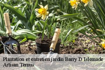 Plantation et entretien jardin  barry-d-islemade-82290 Artisan Ternus