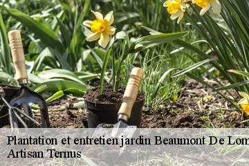 Plantation et entretien jardin  beaumont-de-lomagne-82500 Artisan Ternus