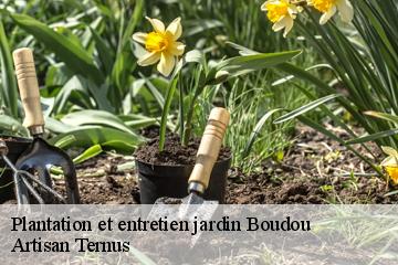 Plantation et entretien jardin  boudou-82200 Artisan Ternus