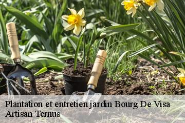 Plantation et entretien jardin  bourg-de-visa-82190 Artisan Ternus