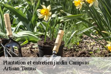 Plantation et entretien jardin  campsas-82370 Artisan Ternus
