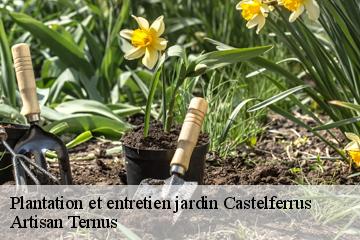 Plantation et entretien jardin  castelferrus-82100 Elagage Calvet