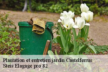 Plantation et entretien jardin castelferrus-82100 Steis Elagage pro 82