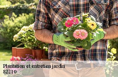 Plantation et entretien jardin 82210