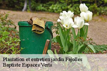 Plantation et entretien jardin fajolles-82210 Baptiste Espaces Verts