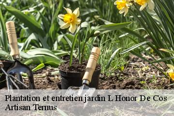 Plantation et entretien jardin  l-honor-de-cos-82130 Artisan Ternus