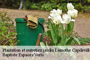 Plantation et entretien jardin lamothe-capdeville-82130 Baptiste Espaces Verts