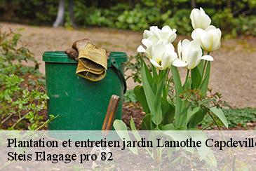 Plantation et entretien jardin lamothe-capdeville-82130 Steis Elagage pro 82