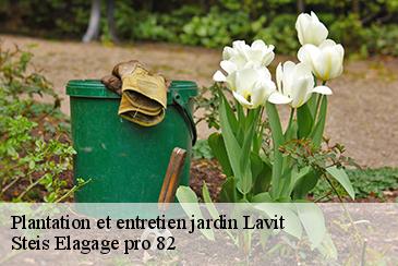 Plantation et entretien jardin lavit-82120 Steis Elagage pro 82