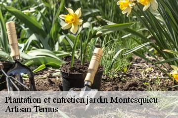 Plantation et entretien jardin  montesquieu-82200 Artisan Ternus