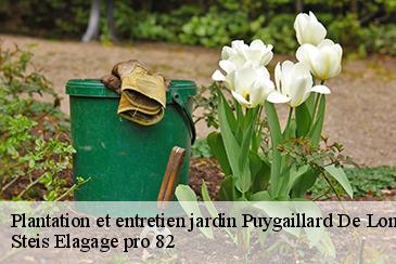 Plantation et entretien jardin puygaillard-de-lomagne-82120 Steis Elagage pro 82