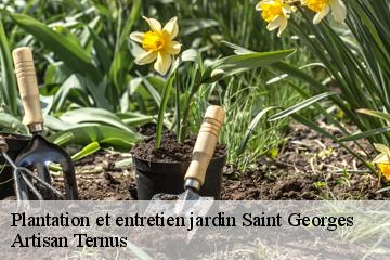 Plantation et entretien jardin  saint-georges-82240 Artisan Ternus