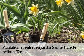 Plantation et entretien jardin  sainte-juliette-82110 Artisan Ternus