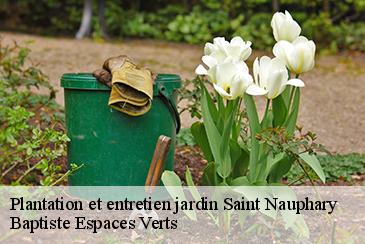 Plantation et entretien jardin saint-nauphary-82370 Baptiste Espaces Verts