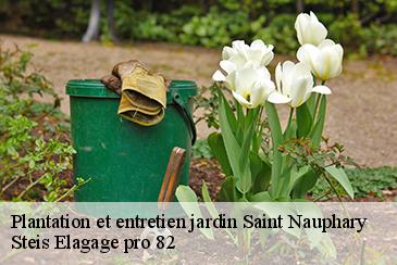 Plantation et entretien jardin  saint-nauphary-82370 Steis Elagage pro 82