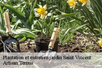 Plantation et entretien jardin  saint-vincent-82300 Artisan Ternus