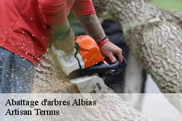 Abattage d'arbres  albias-82350 Artisan Ternus
