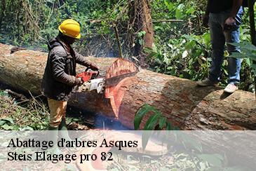 Abattage d'arbres asques-82120 Steis Elagage pro 82