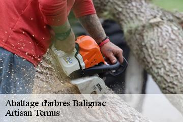 Abattage d'arbres  balignac-82120 Artisan Ternus