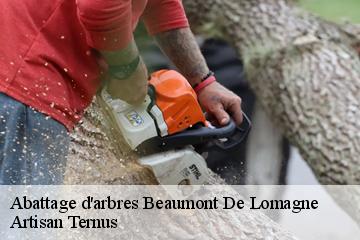 Abattage d'arbres  beaumont-de-lomagne-82500 Artisan Ternus