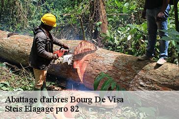 Abattage d'arbres bourg-de-visa-82190 Steis Elagage pro 82