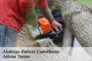 Abattage d'arbres  castelferrus-82100 Artisan Ternus